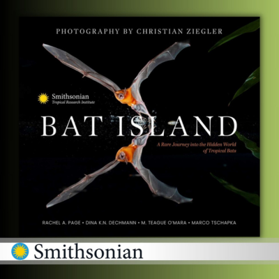 Book Bat Island from Smithsonian