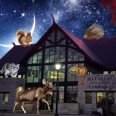 Library with Woodland Animals around it