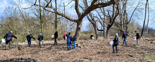 The friends of Governor Nelson State Park working in the park